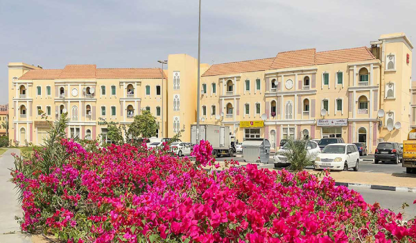 Dubai International City for rent in dubai
